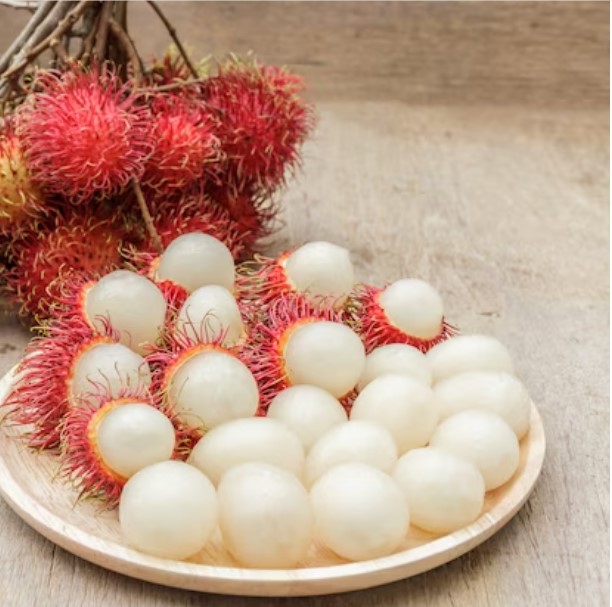 ILUSTRASI: Manfaat kulit rambutan. (freepik)