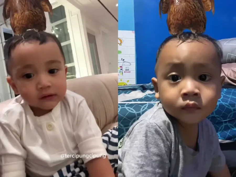 Viral Video Anak Disebut Kembaran Cipung alias Rayyanza Malik Ahmad di TikTok/ Kolase Instagram @tercipungcipung dan TikTok @cipluk889