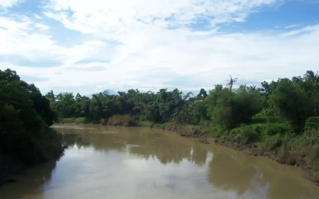 6 Tempat Paling Angker di Kabupaten Subang, Horor Urband Legend Hingga Kecelakaan-Kecelakaan Misterius!