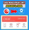 Panduan Lengkap Cara Mencairkan Limit Akulaku ke DANA