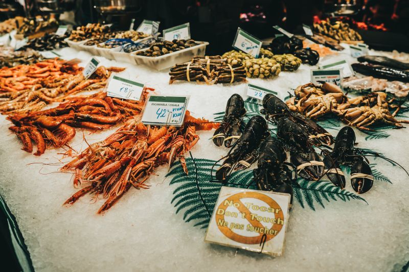 Ini Porsi Makanan Seafood yang Harus Diperhatikan Ibu Hamil