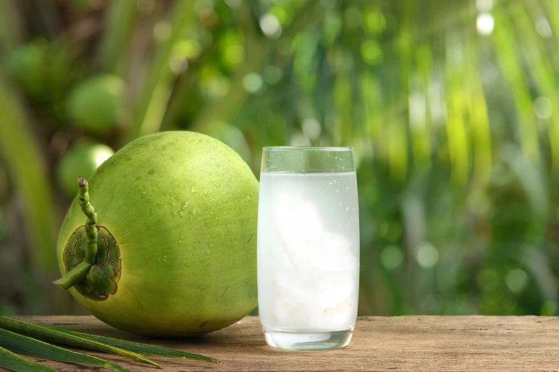 air kelapa