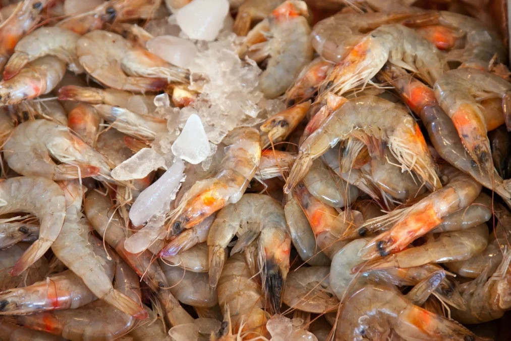 Kaya Akan Nutrisi, Ketahui Manfaat Udang Bagi Tubuh