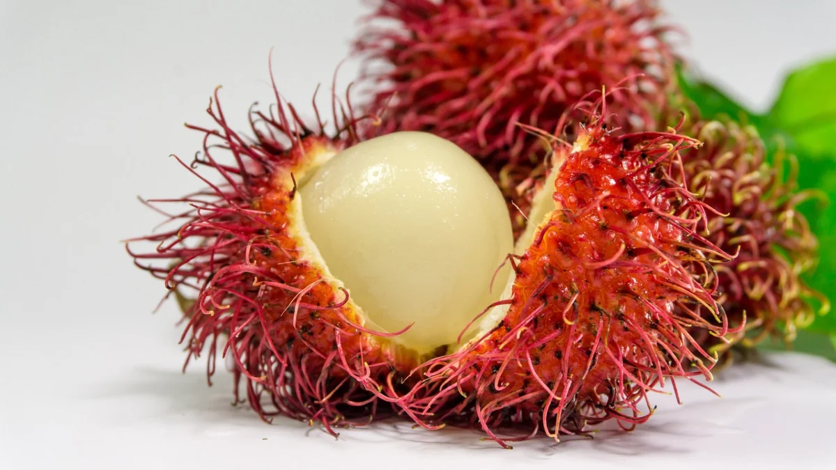 Khasiat Buah Rambutan, Dapat Mengatur Gula Darah!