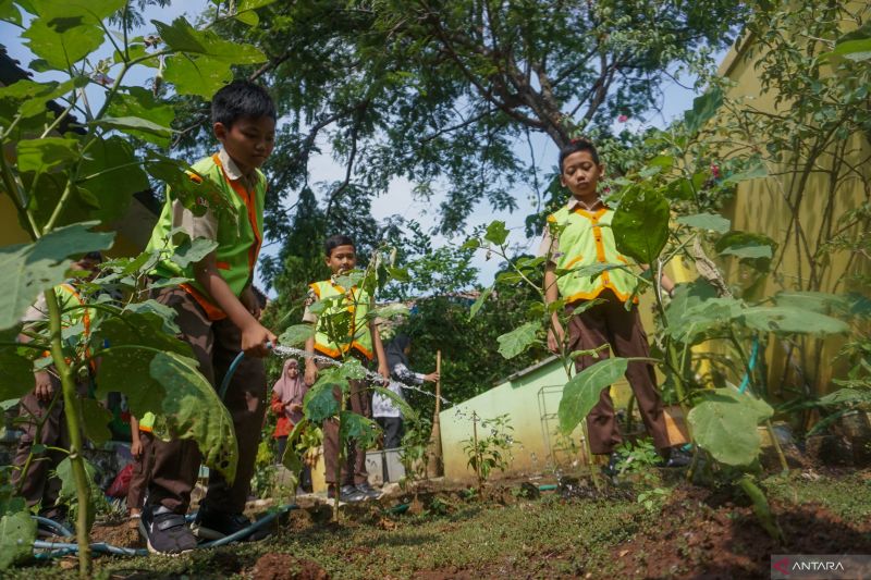 Ternyata Aktivitas Berkebun, Mengepel Lantai, dan Mencuci Mobil Bisa Gantikan Olahraga Sedang, Ini Kata Ahlinya!