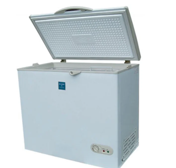 Apa Perbedaan Chest Freezer dan Deep Freezer? Simak di Sini!