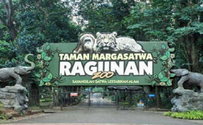 fasilistas dan harga tiket Taman Margasatwa Ragunan