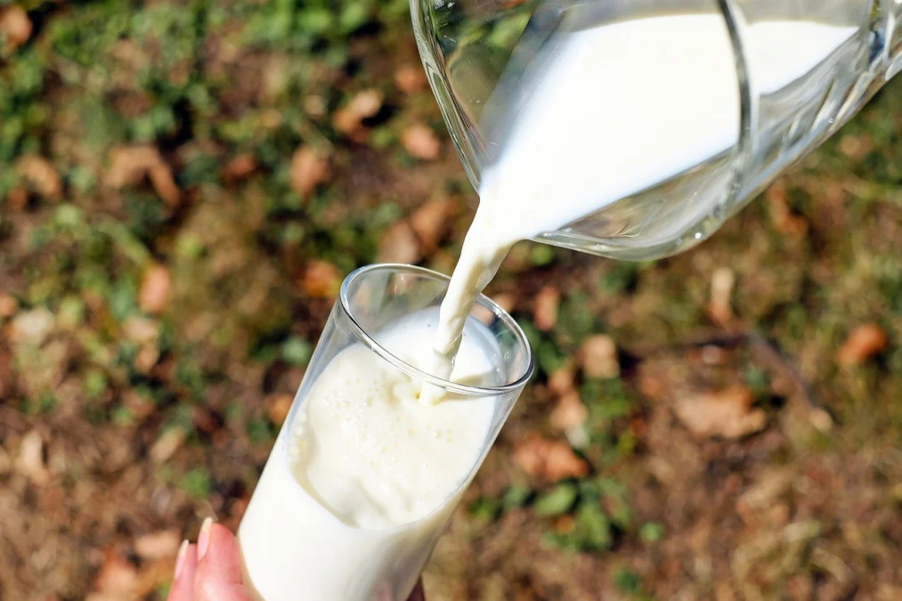 Dapat Menyehatkan Kulit? Ini Dia Khasiat Susu Kambing!