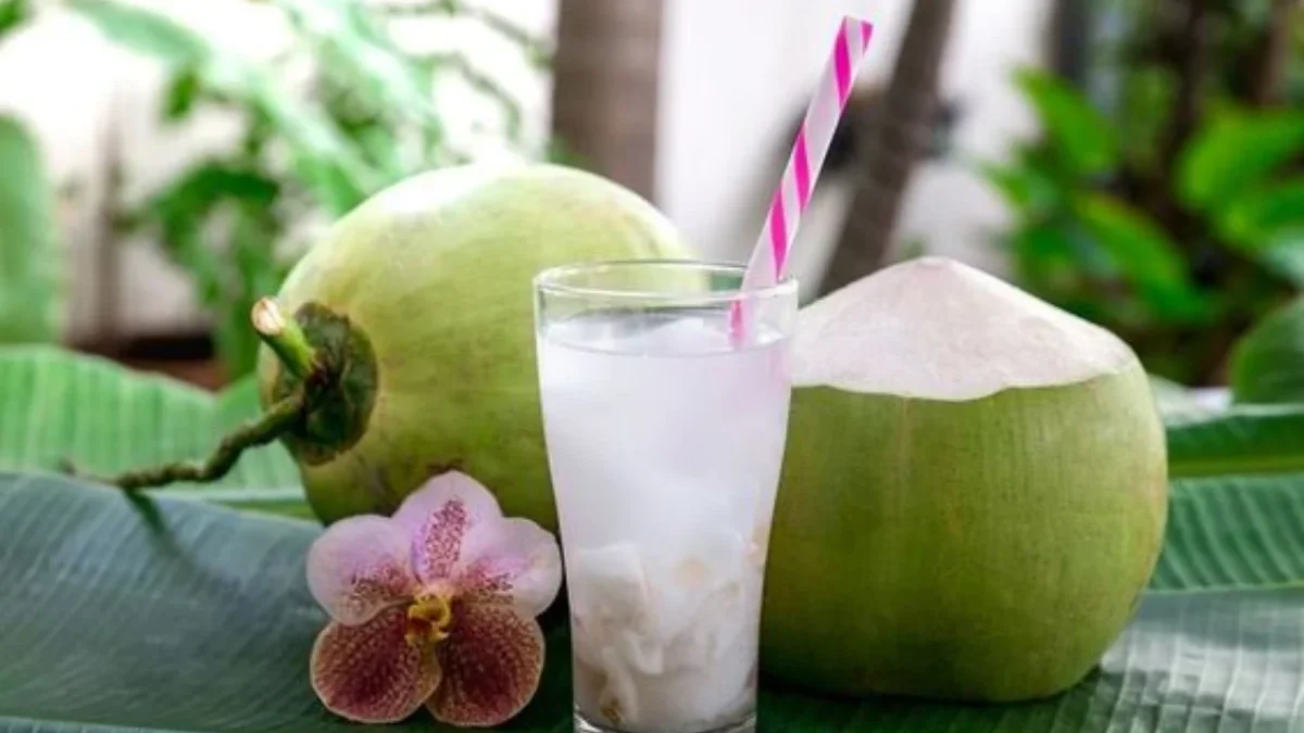 Sering Dikonsumsi Saat Buka Puasa, Ini Manfaat Air Kelapa yang Bagus untuk Tubuh!