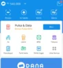 Aplikasi Terbaik untuk Mendapatkan Saldo DANA Gratis Langsung Cair ke Akun