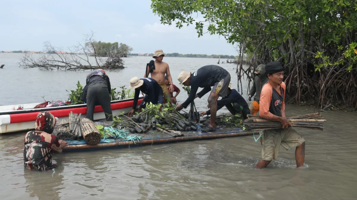 Peringati Hari Bumi Sedunia : Bio Farma Tanam 4000 Mangrove