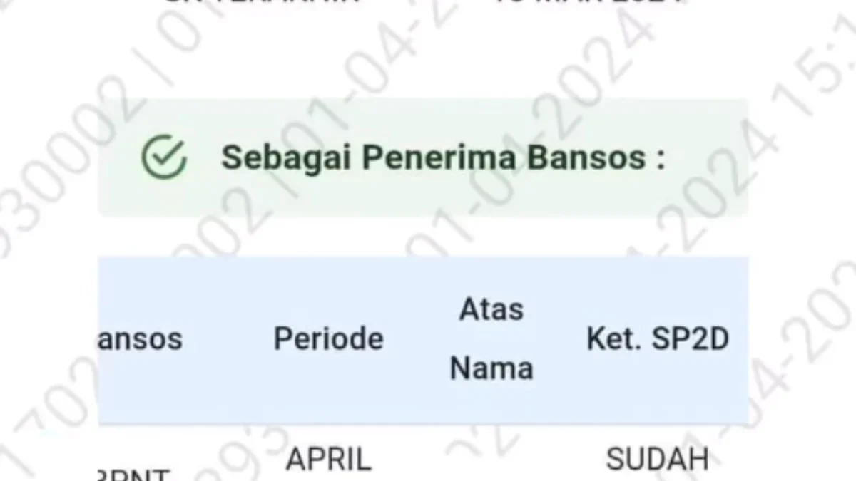 Bansos BPNT Tahap 3 Tahun 2024 Siap Cair! Simak Cara Mudah Cek Penerima dan Tips Lolos Verifikasi