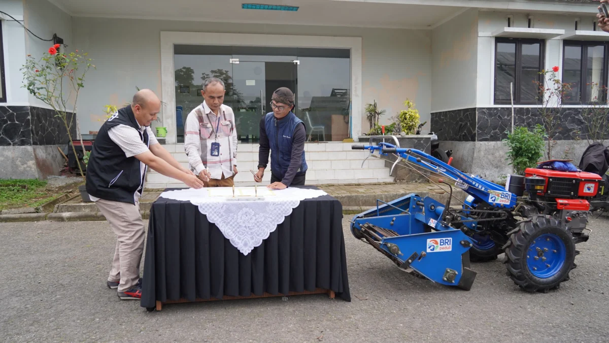 BRI Regional Office Bandung Salurkan Bantuan untuk Klaster Unggulan Hortikultura di Kabupaten Bandung dan Garu