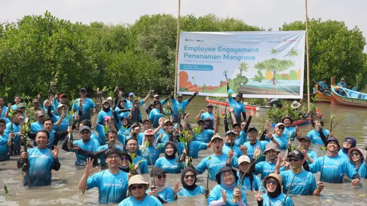 Atasi Dampak Abrasi di Desa Mayangan: Bio Farma Bawa 100 Karyawan Tanam 3500 Mangrove