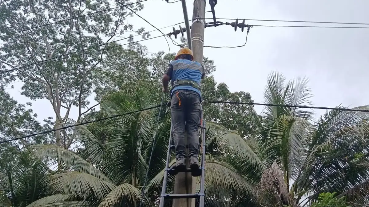 PLN Icon Plus SBU Regional Jawa Barat Konsisten Lakukan Patroli dan Perapihan Kabel Fiber Optik
