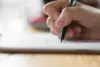 Tahapan Seleksi Sekolah Kedinasan PKN STAN dan IPDN