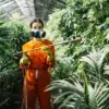 Hati-Hati di Hutan: Tanaman Beracun yang Dapat Membahayakan