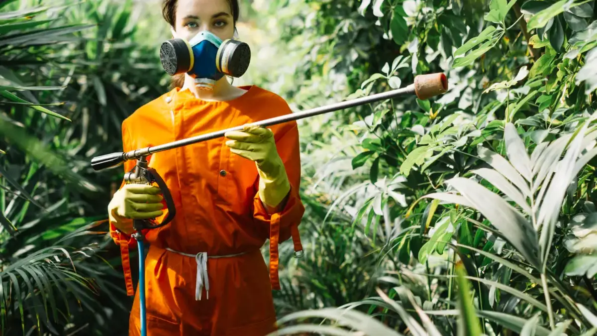 Hati-Hati di Hutan: Tanaman Beracun yang Dapat Membahayakan
