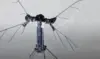 Dunia Digegerkan! China Ciptakan Drone Sekecil Nyamuk, Bisa Jadi Mata-Mata?