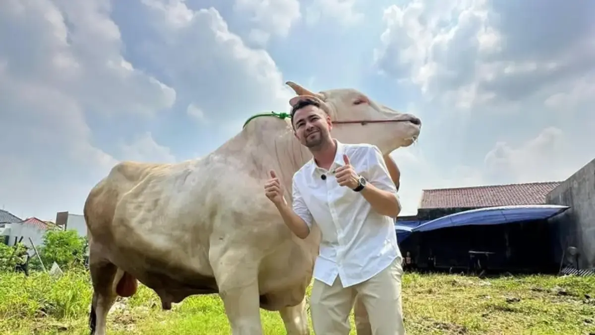 Raffi Ahmad kurban sapi