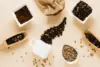 Robusta vs Arabica Mana yang Lebih Kuat, Lebih Enak, dan Lebih Sehat?