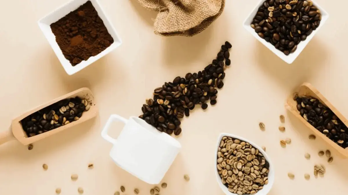 Robusta vs Arabica Mana yang Lebih Kuat, Lebih Enak, dan Lebih Sehat? Robusta vs Arabica Mana yang Lebih Kuat, Lebih Enak, dan Lebih Sehat?