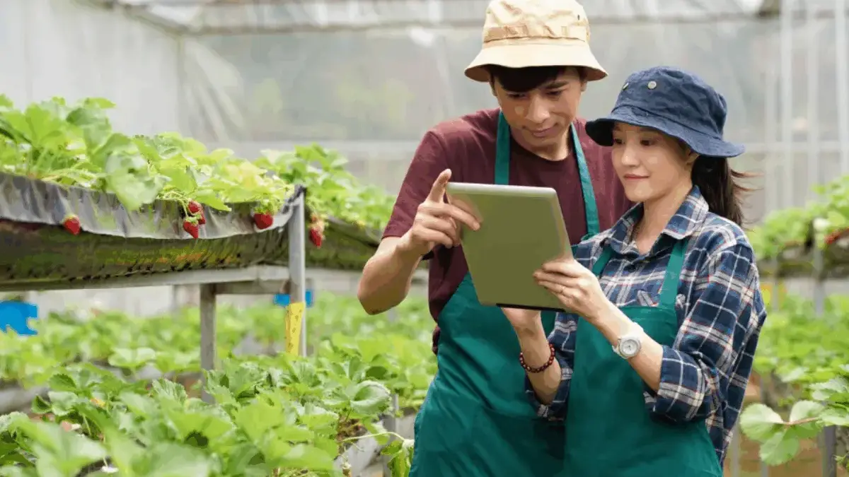 4 Rekomendasi Film yang Wajib Ditonton Buat yang Suka Bertani