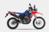 Hadirkan Sensasi Petualangan Baru, CRF250 Series Siap Jelajahi Indonesia