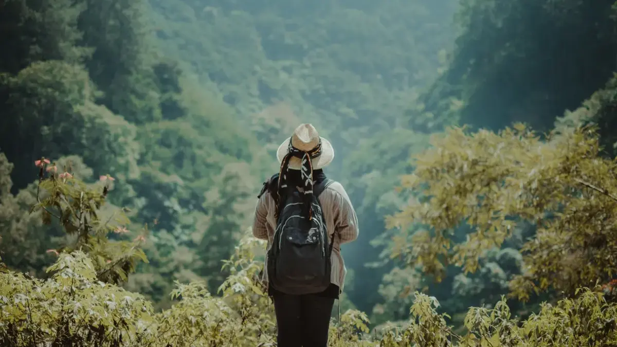 Ilustrasi Foto Liburan