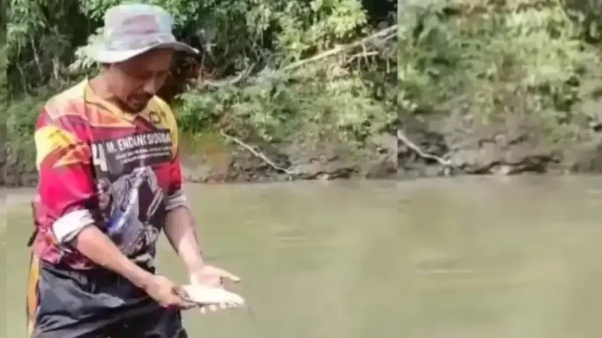 Banyak Ikan Mati, Warga di Tasikmalaya Keluhkan Sungai yang Tercemar Misterius Warga kampung Naga yang mendapati ikannya mati