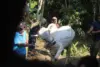 Tata cara menyembelih hewan qurban