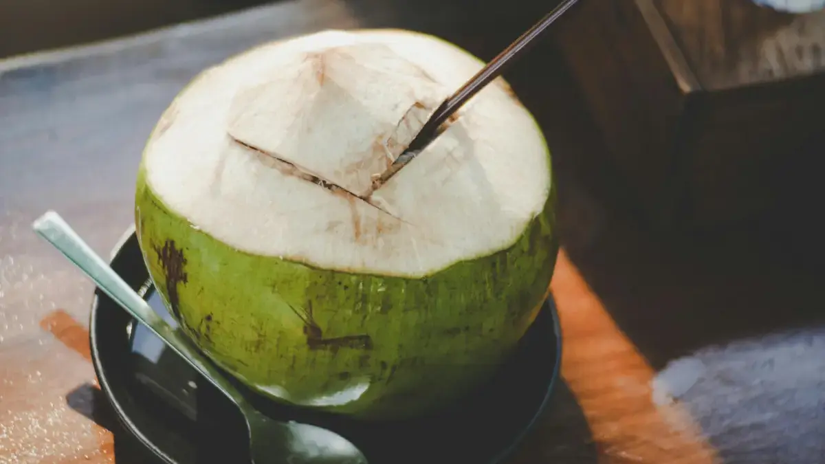 Manfaat Air Kelapa Muda