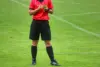 Wasit Jepang vs Indonesia