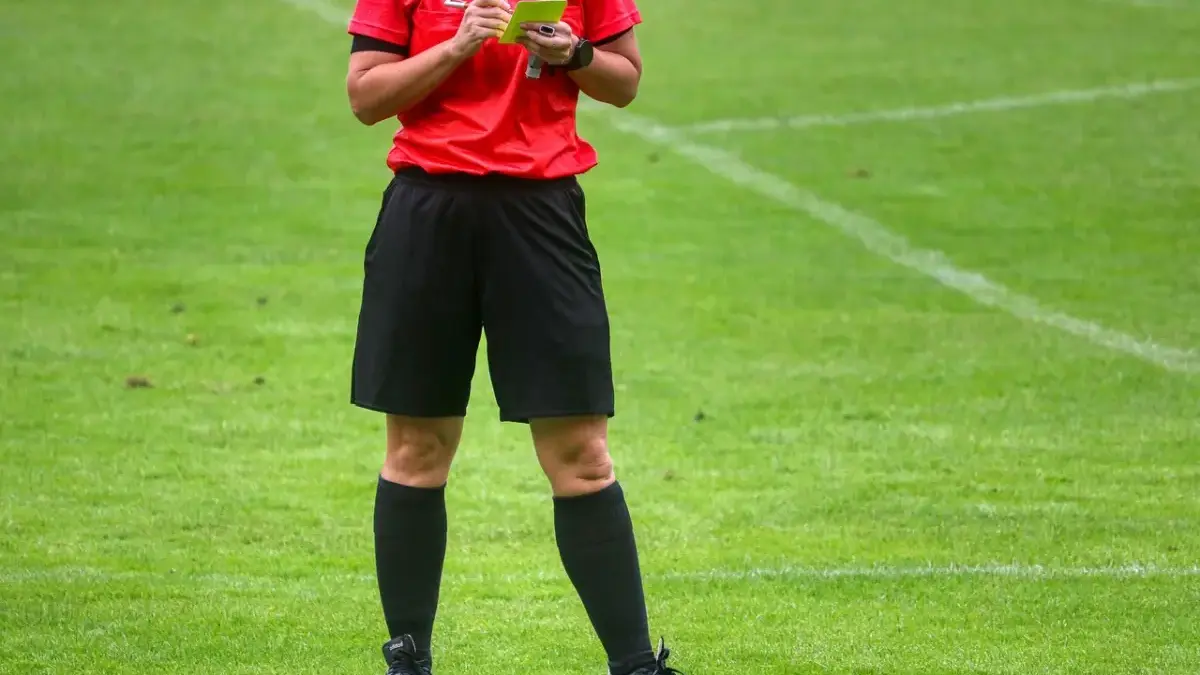 Wasit Jepang vs Indonesia