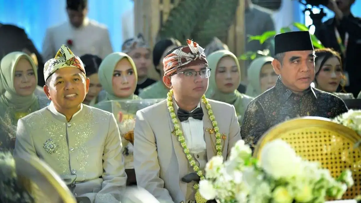 Dedi Mulyadi