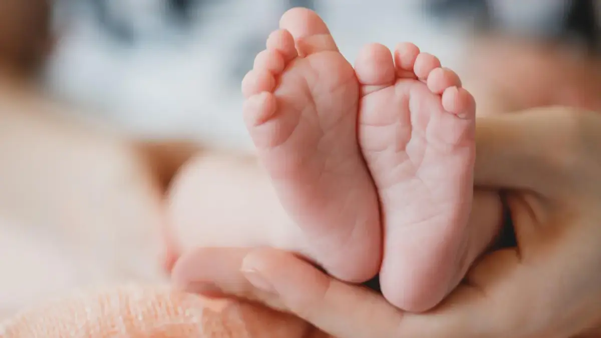 Sindikat perdagangan bayi jaringan internasional