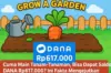 Ilustrasi aplikasi saldo DANA