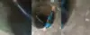 Tangkapan layar video perundungan