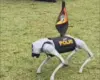 Robot yang Dipamerkan di HUT Bhayangkara Ternyata Bisa Dipesan Online, Masuk Kategori Mainan