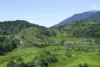 Pemandangan Gunung Gede Pangrango
