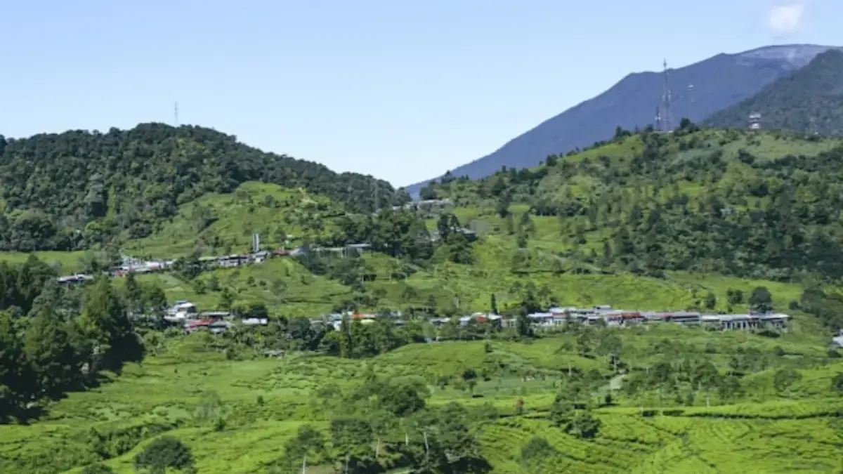 Pemandangan Gunung Gede Pangrango
