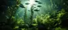 5 Tanaman Aquascape Low CO₂ yang Cocok untuk Pemula