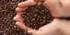 5 Toko Kopi Legendaris di Bandung yang Masih Eksis dan Wajib Dicoba