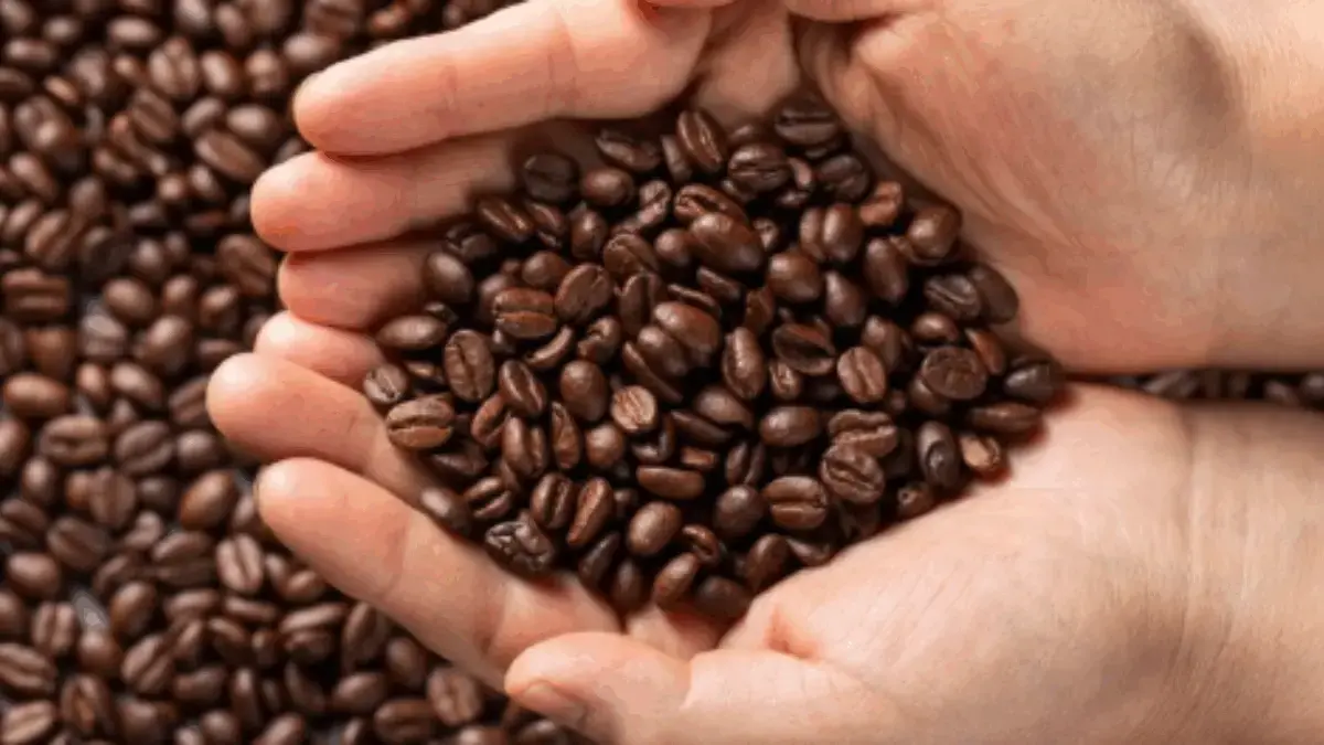 5 Toko Kopi Legendaris di Bandung yang Masih Eksis dan Wajib Dicoba