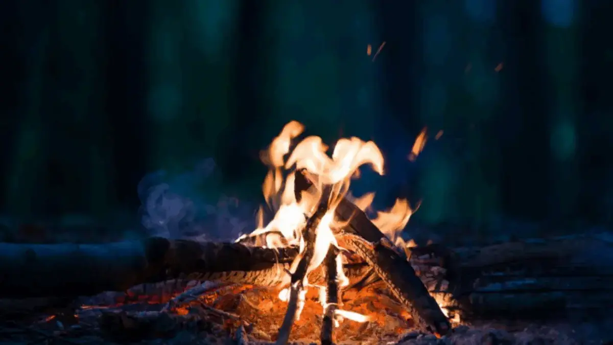 Bentuk-Bentuk Campfire yang Perlu Diketahui, Cocok untuk Pemula dan Pecinta Alam