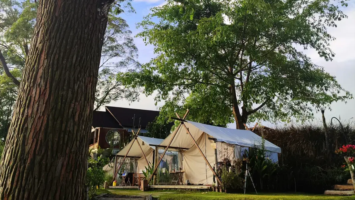 Tempat Glamping di Bandung
