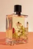 Ilustrasi Parfum