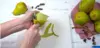 ILUSTRASI mengupas kulit buah Pir. (freepik)