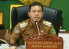 Bupati Bandung, Dadang Supriatna