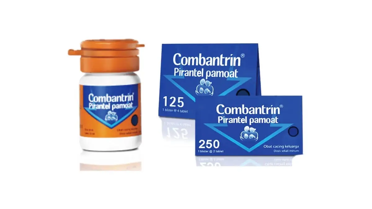 Obat cacing